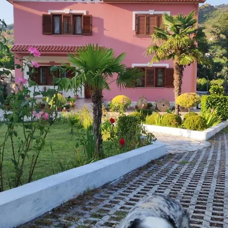 Villa Dedja Boutique בית הארחה *