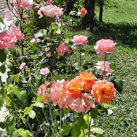 Villa Dedja Boutique Ndroq