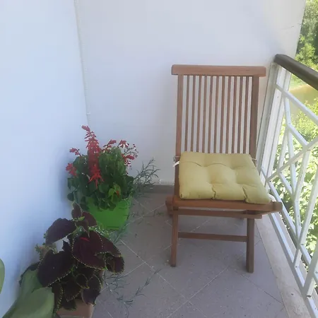 בית הארחה Villa Dedja Boutique